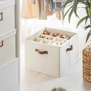 StorageWorks Shoe Organizer for Closet, Shoe Cubby Storage Containers, White, Medium