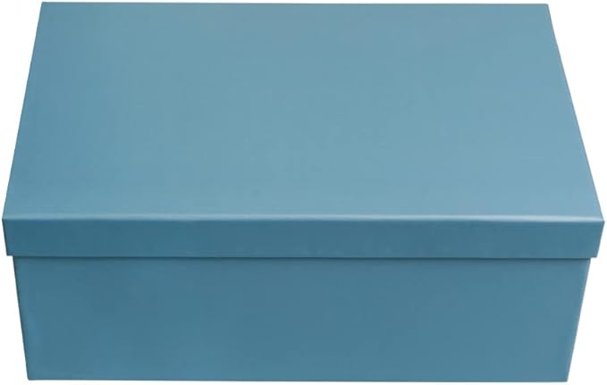 novelinks Photo Case 4" x 6" Photo Storage Box, 10 Inner Picture Storage Containers & Photo Organizer Cases, Portable Photo Craft Keeper for Photos, Crafts, Cards (Sky Blue, 2Pack)