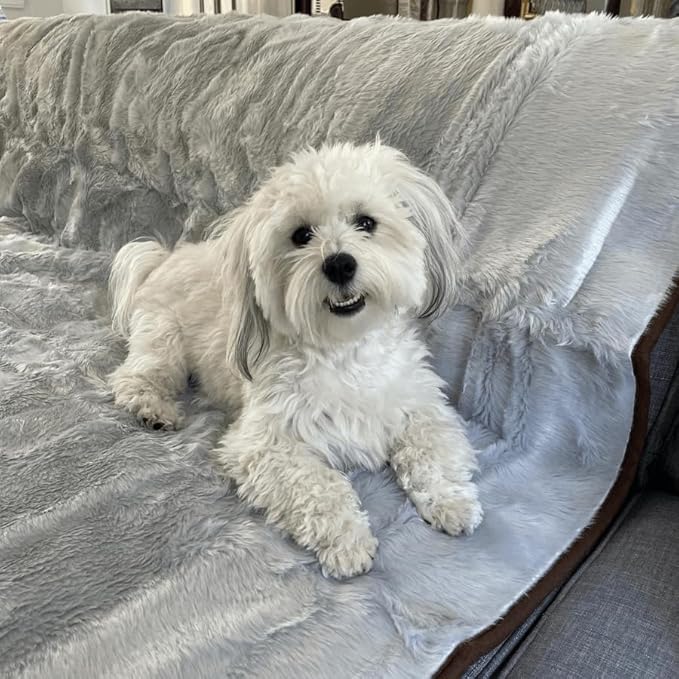 PupProtector Waterproof Throw Blanket for Dogs and Cats, Pet Blanket Cover for Couches, Sofas, Beds, Car Seats, Furniture, Calming Soft Faux Fur, Short Grey, Large (80" L x 62" W)