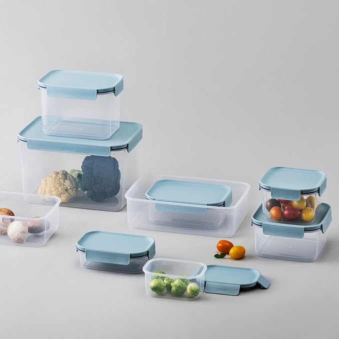LocknLock HPL413 Classic-Plus Plastic Food Storage Container with Lid for Kitchen, Lunch, Meal Prep, and Leftovers, BPA-Free, Airtight, Leakproof, Microwave, Dishwasher, Freezer-Safe, 420ml