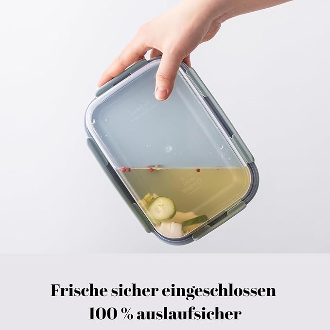 LocknLock HPL413 Classic-Plus Plastic Food Storage Container with Lid for Kitchen, Lunch, Meal Prep, and Leftovers, BPA-Free, Airtight, Leakproof, Microwave, Dishwasher, Freezer-Safe, 420ml
