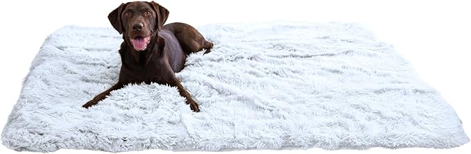 Best Friends by Sheri Calming Shag Cat and Dog Blanket with Non-Skid, Water Resistant Base, Machine Washable, Frost Gray, 60" x 80"