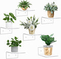 PuzFun 6 Pack Small Acrylic Floating Shelves for Wall, Wall Mounted Hanging Display Shelves for Plants, Funko Pop Figures, Adhesive Shelf for Bedroom, Picture Toy Clear Display Shelf