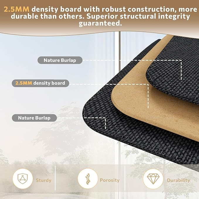 2 Pack Shoe Organizer for Closet, Fits 16-32 Pairs Fabric Shoe Storage Bins Large Shoe Box Storage Containers with Bottom Support for Shoes Space Saving Shoes Holder (Black, 19.7*15.7*11.8in)