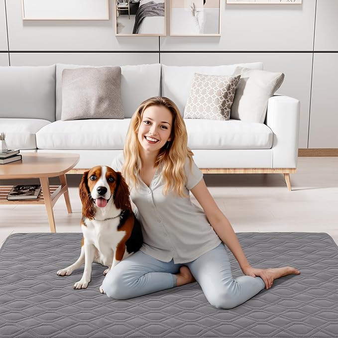 Smiry Reversible Waterproof Couch Covers for Sofa, Washable Dogs Pet Couch Covers for 3 Cushion Sofa Pet Friendly, Water Resistant Furniture Protector Slipcover, Geometric (40"x50", Grey/Light Grey)