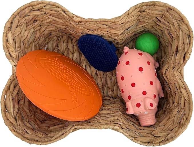 Dog Toy Basket, Hyacinth Cat & Dog Bone Shaped Basket, Wicker Pet Toy Bin Organizer, Dog Toy Storage (17x13 Hyacinth)