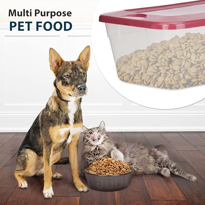 DecorRack 6 Clear Plastic Storage Containers, Shoe Boxes 6 Quart, Stackable, Closet Storage Box, Perfect for Toy Storage, Cat and Dog Food Containers, Assorted Colors (6 Pack)