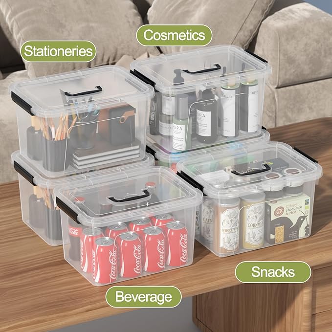 EudokkyNA 10 Liters Clear Boxes with Handles, Plastic Small Storage Tote Bins Set of 6