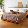 PAULATO BY GA.I.CO. Waterproof Blanket for Bed – Queen Absorbent Couch Cover – Machine Washable Stain-Proof Pad for Large Sofa – Pets Dogs & Cats Friendly Protector - Marsala