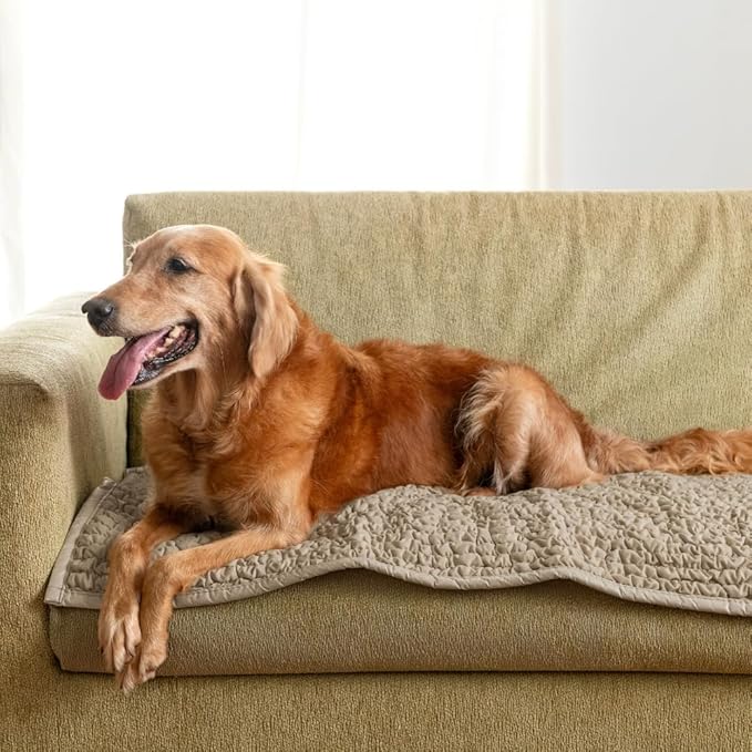 PAULATO BY GA.I.CO. Waterproof Couch Cover – 24x47 Blanket for Sofa Car Seat or Crate – Machine Washable Absorbent Reusable Pad for Puppy Training – Dogs Cats Pets Friendly Protector - Macadamia