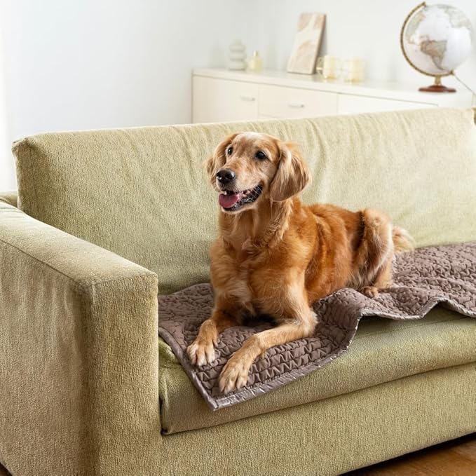 PAULATO BY GA.I.CO. Waterproof Couch Cover – 24x47 Blanket for Sofa Car Seat or Crate – Machine Washable Absorbent Reusable Pad for Puppy Training – Dogs Cats Pets Friendly Protector - Marsala
