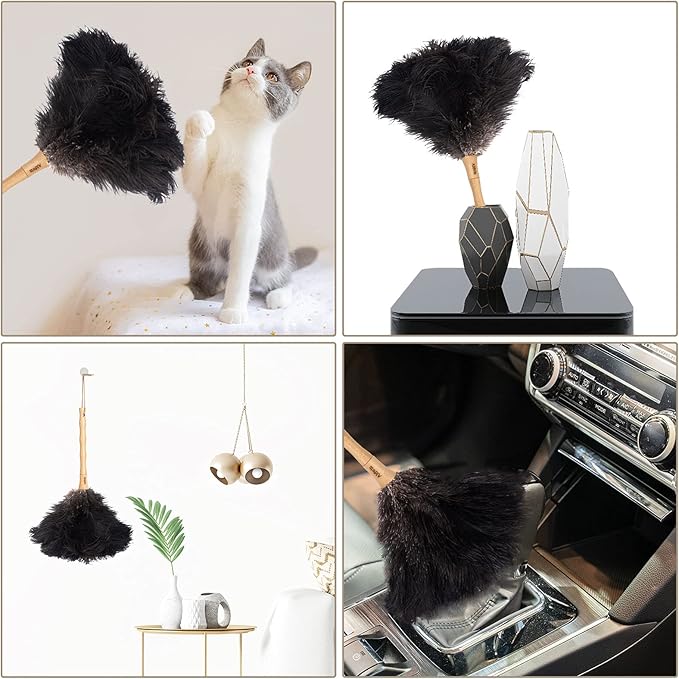 Aldwin Ostrich Feather Duster, 16 inch Black Genuine Ostrich Feathers with Wood Handle, Reusable Car Dusters, Eco-Friendly Cleaning Handheld Dusters for Home, Office and Kitchen