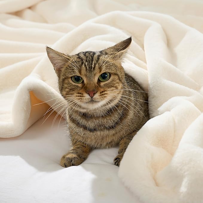 Waterproof Pet Blanket, Ultra Soft Luxury Faux Fur Throw Blanket for Couch, Cozy Warm Plush Blanket for Sofa Bedroom Living Room, Liquid Pee Proof for Large Dog or Cat, 30x40 inch, Cream