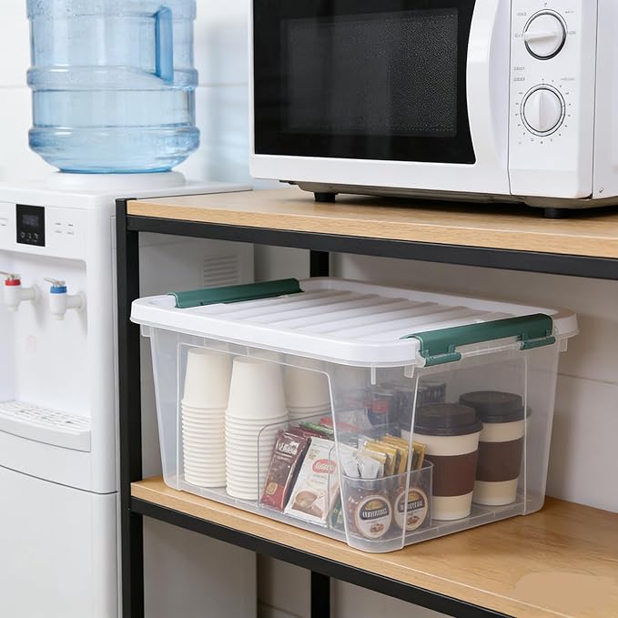 Parlynies 4-Pack Latching Box, Storage Bins with Lids, Clear Plastic, 20 Quart, Heavy-Duty Organizing Containers for Closet, Bathroom, and Office
