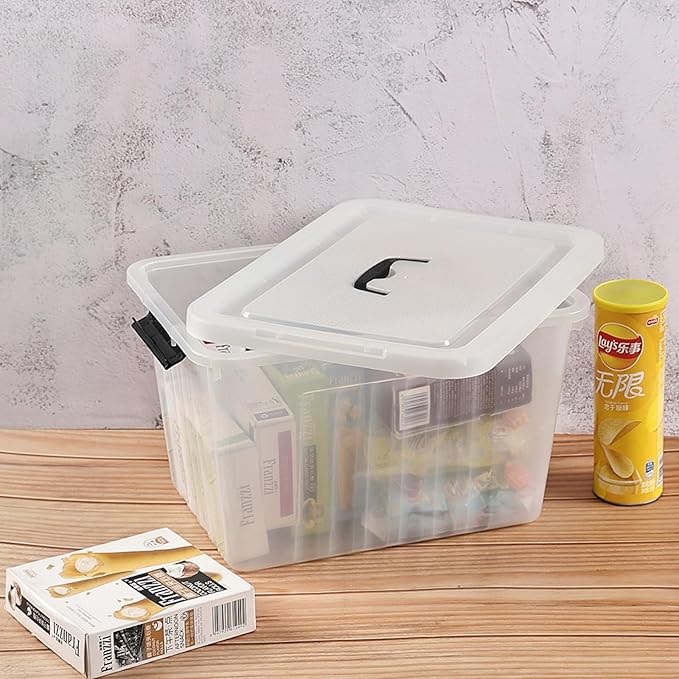 Ewingger 22 L Clear Storage Bin with Handle, Plastic Latching Storage Box Bins, 4-Pack