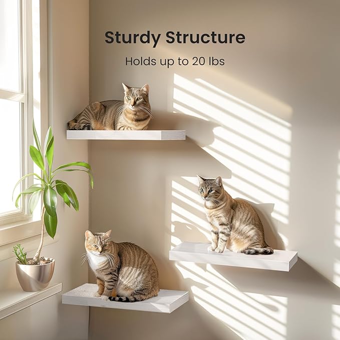 AMADA HOMEFURNISHING Floating Shelves, Wall Shelves for Bathroom/Living Room/Bedroom/Kitchen Decor, White Shelves with Invisible Brackets Set of 3 - AMFS08 | AMADA HOMEFURNISHING, Floating Shelves, Wall Shelves, for Bathroom, for Living Room, for Bedroom