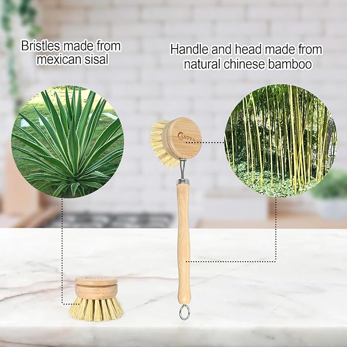 Bamboo Dish Brush with Handle - Soft Bristle, Eco-Friendly Vegetable Brush Scrubber for Food, Compostable & Sustainable, Bamboo Dish Scrubber for Cleaning Kitchen Utensils