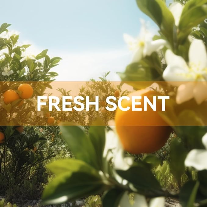 MYARO 12 Packs Orange Blossom Scent Sachets for Closet Home Long Lasting Shoe Odor Deodorizer Bathroom Car Air Frehener