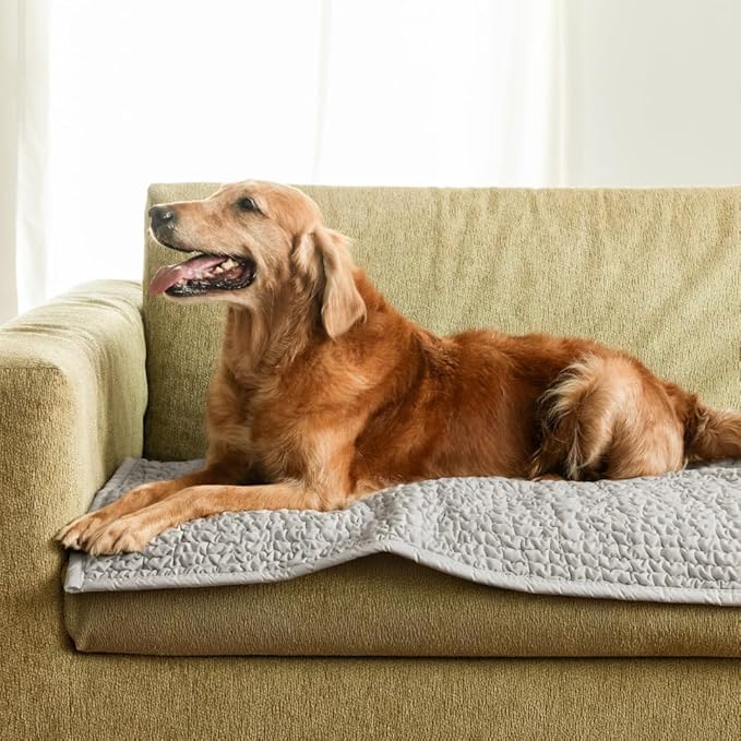 PAULATO BY GA.I.CO. Waterproof Blanket – 24x67” Changing Absorbent Pad for Incontinence – Machine Washable Stain-Resistant Protector for Couch Sofa or Bed – Reusable Waterproof Cover - Light Grey