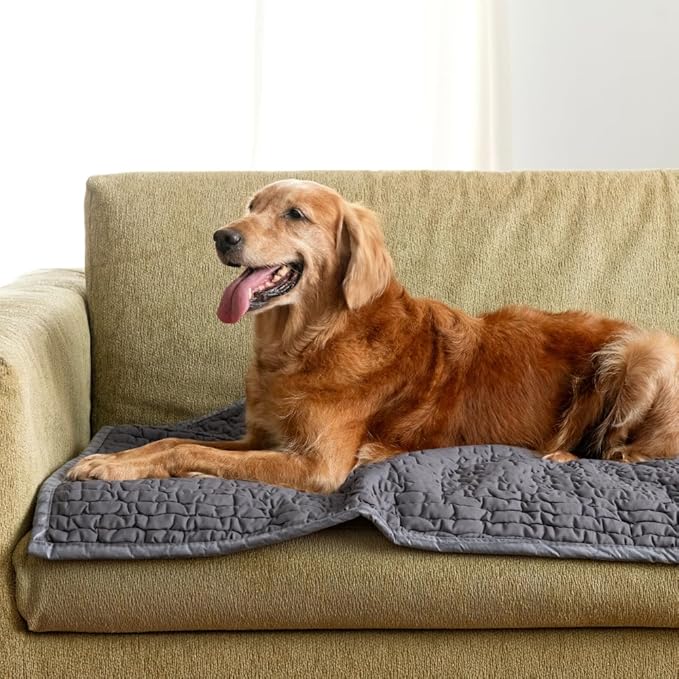 PAULATO BY GA.I.CO. Waterproof Blanket – 24x67” Changing Absorbent Pad for Incontinence – Machine Washable Stain-Resistant Protector for Couch Sofa or Bed – Reusable Waterproof Cover - Dark Grey