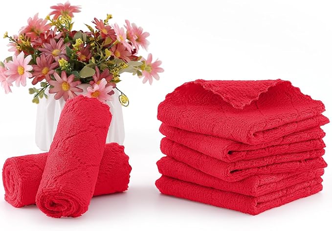 Homaxy 24 Pack Kitchen Dish Cloths (10 x 10 Inches, Red), Super Soft and Absorbent Coral Velvet Dish Towels, Nonstick Oil Fast Drying Microfiber Cleaning Cloth, No Lint Household Dishcloths