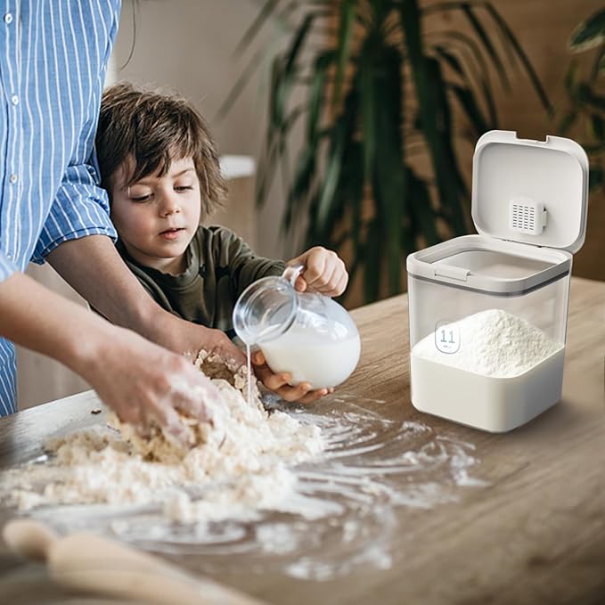 LivLab Flour Container 20LBS - 10 L /10.5 QT /10 KG - Rice Container Storage Food Grain Container Bins Household for Kitchen Pantry Organization (11L)