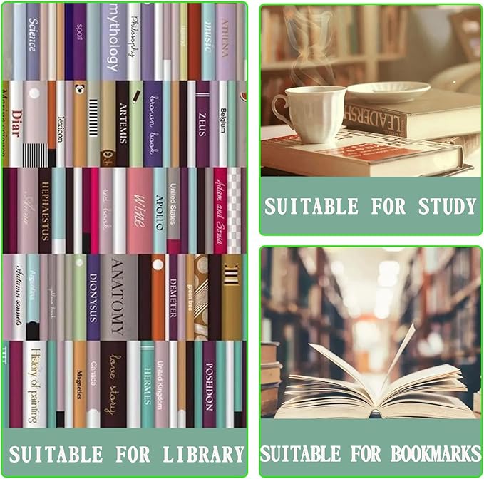 48PCS 12x2inch Thick Library Book Dividers for Shelves with Stickers