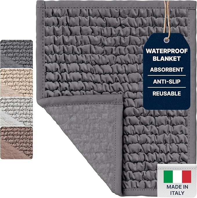 PAULATO BY GA.I.CO. Waterproof Chair Pad – 24x20 Reusable Seat Cover for Car or Wheelchair – Machine Washable Protector for Incontinence – Absorbent Changing Cushion for Elderly Care - Dark Grey