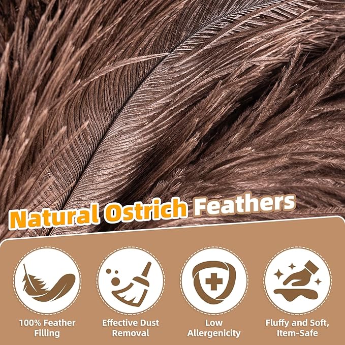 Extendable Ostrich Feather Duster with 19-49 inch Rotatable Stainless Steel Pole, Natural Feather Duster for Ceiling Fan Cobweb Dusting, Reusable Flexible Cleaning Duster(Include 1 Replacement Heads)