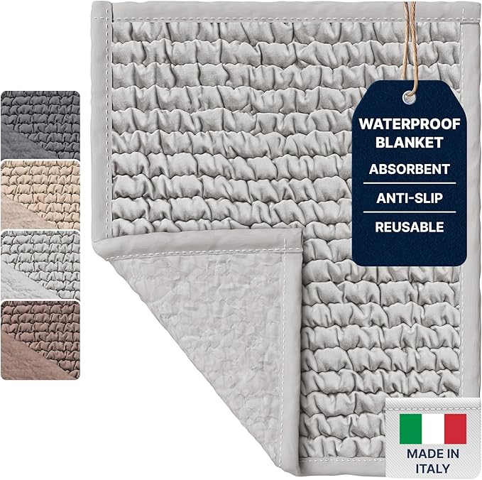 PAULATO BY GA.I.CO. Waterproof Chair Pad – 24x20 Reusable Seat Cover for Car or Wheelchair – Machine Washable Protector for Incontinence – Absorbent Changing Cushion for Elderly Care - Light Grey