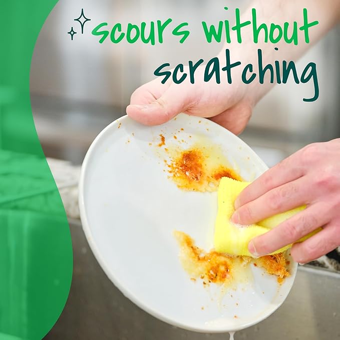 Scotch-Brite Small Utility Brush, Long Lasting Dish Brush with Handle for Scrubbing Cookware, Hands, Tile, Grout, Cutting Boards, and Utensils without Scratching, Antimicrobial, and Rinses Clean
