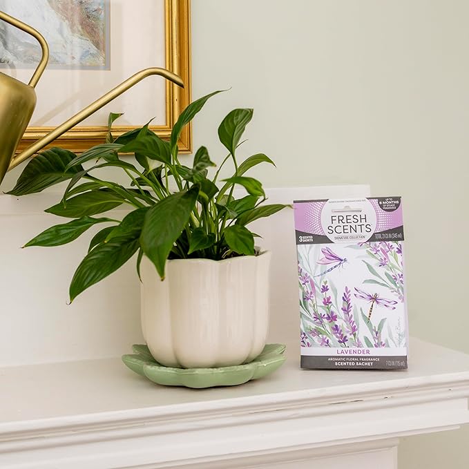 Fresh Scents Scented Sachets | Lavender | Home Fragrance | Long Lasting (Up to 6 Months) | Air Freshener for Closets, Drawers, & Cars | 6 Pack