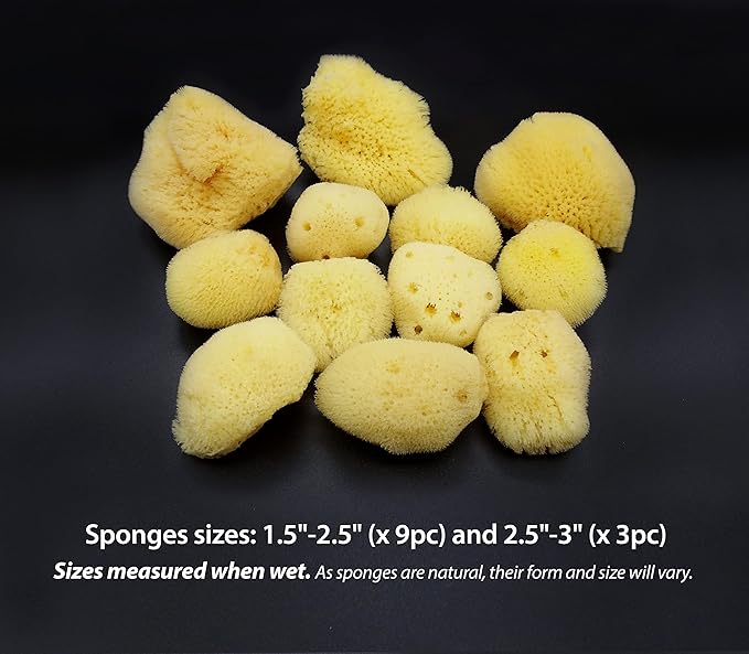 Constantia Beauty® Natural Sea Silk Sponges 12pack, like Cotton Balls, for Cosmetic Use, Makeup Application Blending & Removal, Face & Eye Cleaning, Size 9pc x1.5"-2.5" 3pc x 2.5"-3" Luxury Gift Bag