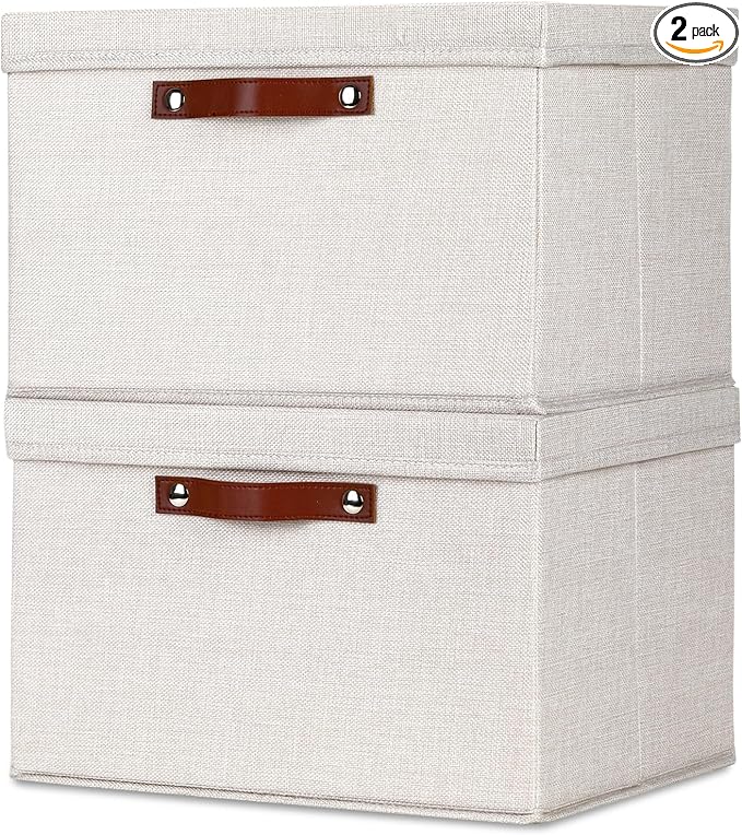 Temary Storage Bins with Lids 2-Pack Large Foldable Storage Baskets with Lid, Fabric Storage Bin for Organizing Home (Beige, 15x11x9.5inch)