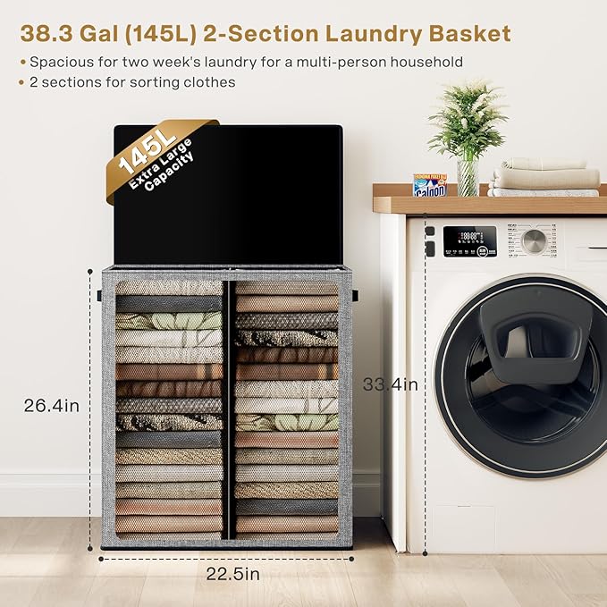 SOLEDI Double Laundry Hamper with Lid and Removable bag, Large Laundry Basket 2 Section with handles, Collapsible Dirty Clothes Hampers for Laundry, Bedroom, Dorm, College