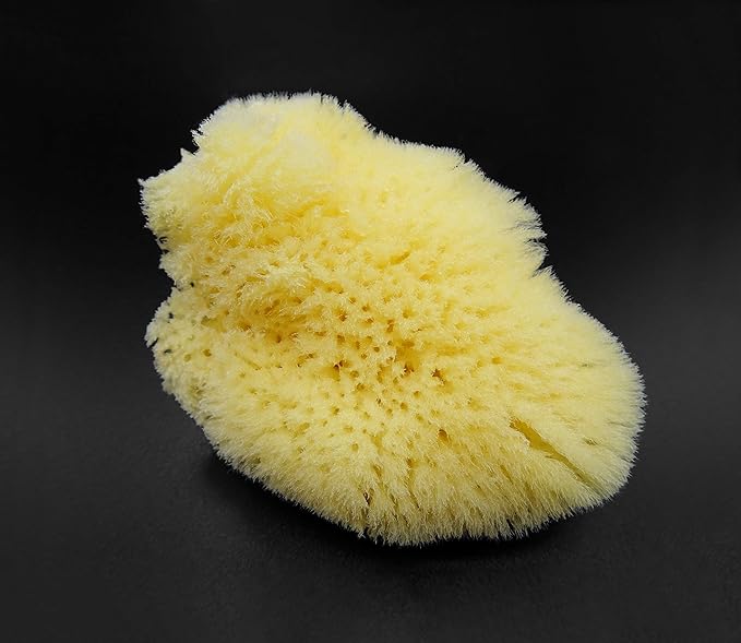 Constantia Beauty® Natural Sea Silk Sponges 12pack, like Cotton Balls, for Cosmetic Use, Makeup Application Blending & Removal, Face & Eye Cleaning, Size 9pc x1.5"-2.5" 3pc x 2.5"-3" Luxury Gift Bag