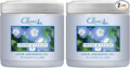 Clear Air 15oz Gel Odor Eliminator - Absorb & Remove Strong Odors from Pets, in Bathrooms, Basements, Garage, Cars, RVs & Boats - Eliminate Tough Odors with Essential Oils (Fresh & Clean, 2-Pack)