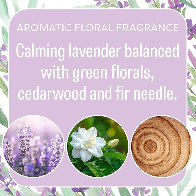 Fresh Scents Scented Sachets | Lavender | Home Fragrance | Long Lasting (Up to 6 Months) | Air Freshener for Closets, Drawers, & Cars | 6 Pack