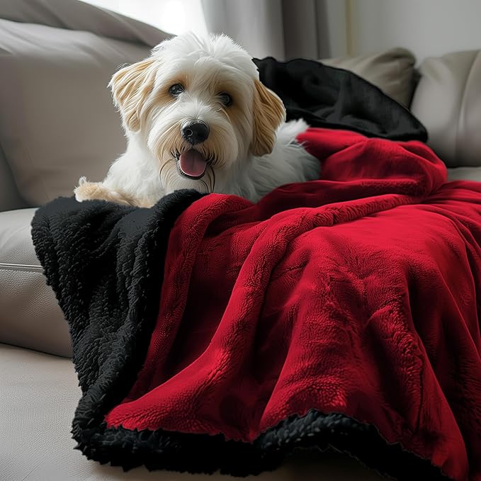 Waterproof Queen Size Blanket - Sherpa Fleece Reversible Throw, Soft Warm Leak-Proof Bed & Couch Protector for Kids, Pets & Everyday Spills (Velvet Red/Obsidian Black, Queen 90x90)