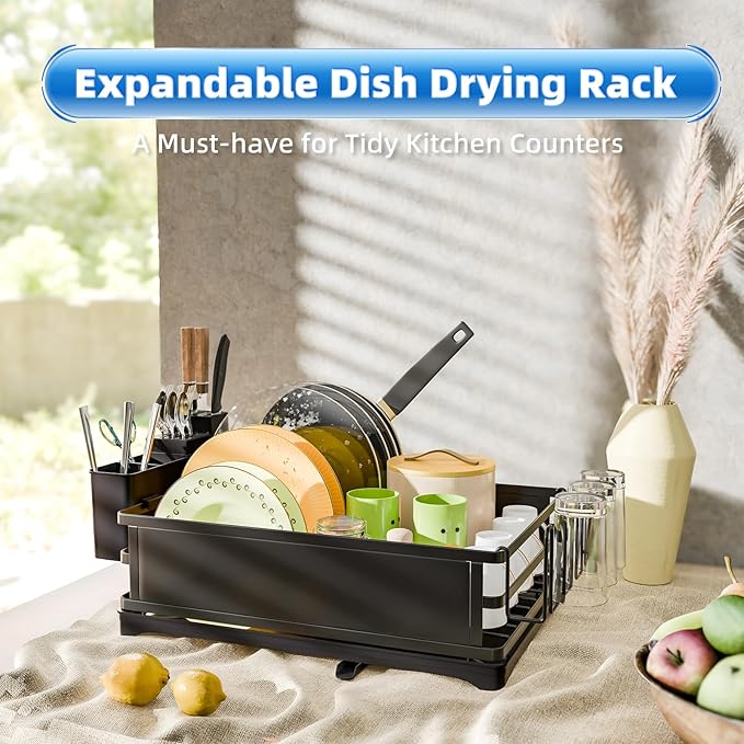 Simple Trending Dish Drying Rack, Dish Drainer for Kitchen Counter, Dish Rack with Tray for Large Capacity, Black