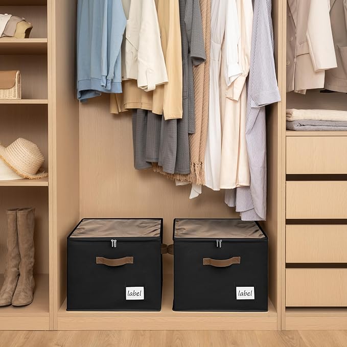 Cupic Cupid 2 Pack Shoe Organizer for Closet, Fits up to 12 Pairs, Shoe Cubby Storage Containers with Clear Cover, Black