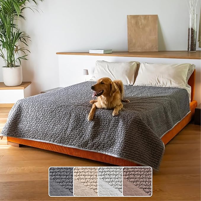 PAULATO BY GA.I.CO. Waterproof Blanket for Bed – Queen Absorbent Couch Cover – Machine Washable Stain-Proof Pad for Large Sofa – Pets Dogs & Cats Friendly Protector - Dark Grey