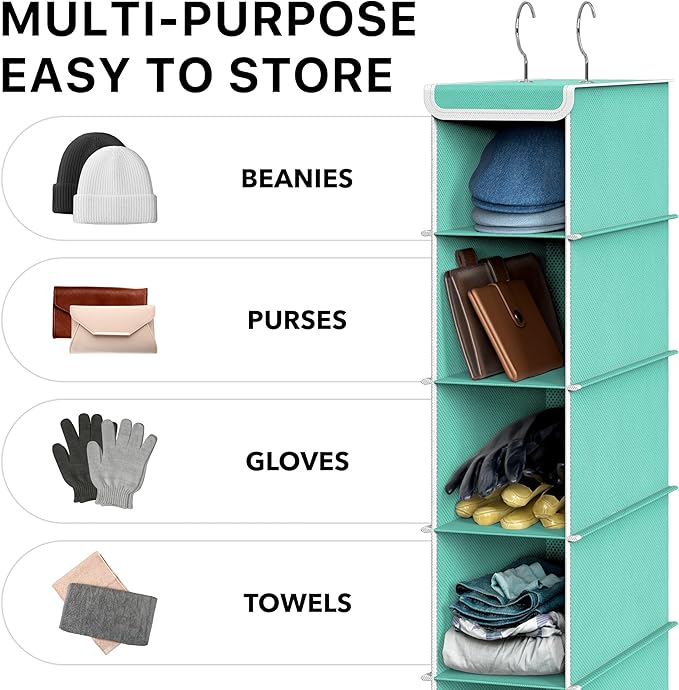 Simple Houseware 10 Shelves Hanging Shoes Organizer Holder for Closet, Turquoise