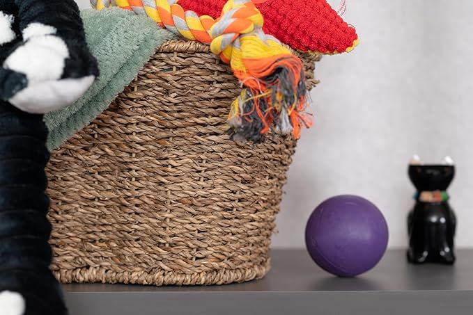 Dog Toy Basket, Bone Shaped Dog Toy Bin, Handmade Pet Organizer And Storage, Toy Box for Cats, (17x13 Seagrass)