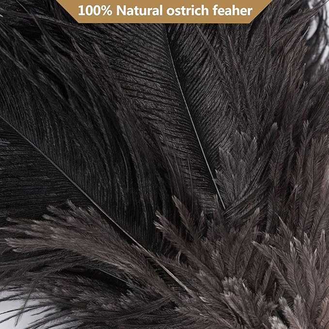 Aldwin Ostrich Feather Duster, 16 inch Black Genuine Ostrich Feathers with Wood Handle, Reusable Car Dusters, Eco-Friendly Cleaning Handheld Dusters for Home, Office and Kitchen