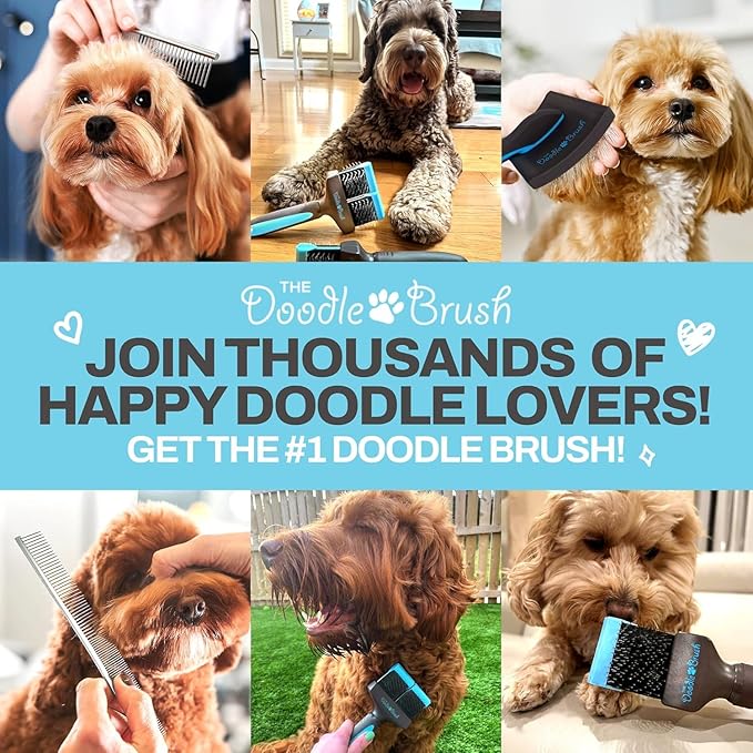 Slicker Brush for Dogs, Dual Head Dog Hair Brushes, Flexible Head Slicker for Dogs, Poodle, Labradoodle, Sheepadoodle, Tangle-Free Grooming, Healthy & Shiny Coat Pet Brushes