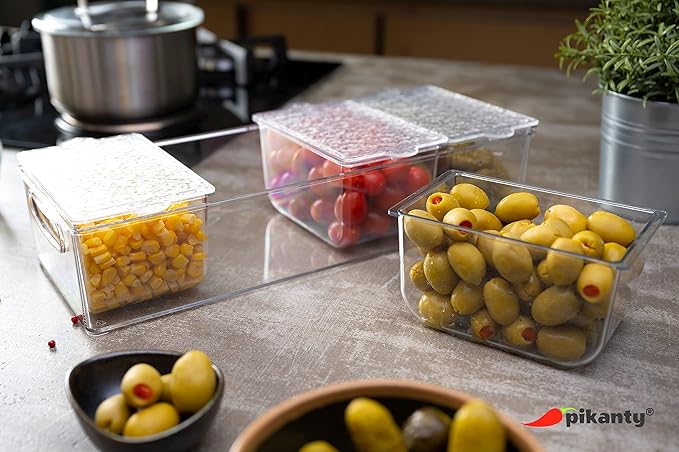Pikanty - Condiment Server with 4 Removable Containers and Lids - Ideal for Parties, BBQs, and Picnics, Dishwasher Safe, and Made in the USA