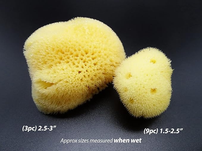 Constantia Beauty® Natural Sea Silk Sponges 12pack, like Cotton Balls, for Cosmetic Use, Makeup Application Blending & Removal, Face & Eye Cleaning, Size 9pc x1.5"-2.5" 3pc x 2.5"-3" Luxury Gift Bag
