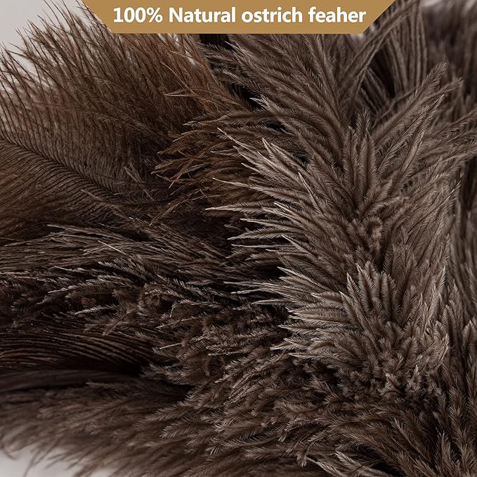 Genuine Ostrich Feather Duster, 16 inch Gray Ostrich Feather Duster with Wood Handle, Reusable Car Dusters, Eco-Friendly Handheld Cleaning Dusters for Home, Office and Kitchen