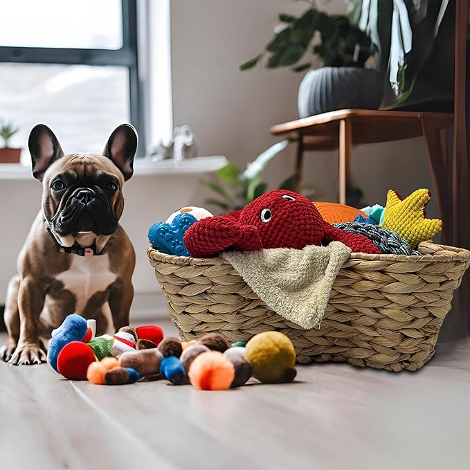 Dog Toy Basket, Hyacinth Cat & Dog Bone Shaped Basket, Wicker Pet Toy Bin Organizer, Dog Toy Storage (17x13 Hyacinth)